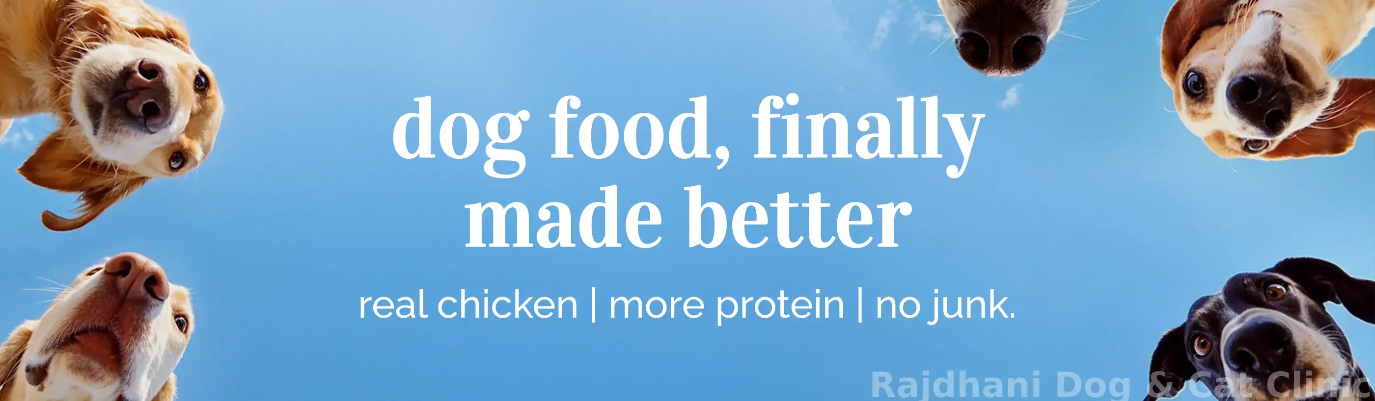Premium Food & Treats for Every Breed
