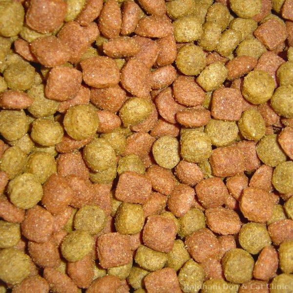 Dog Food